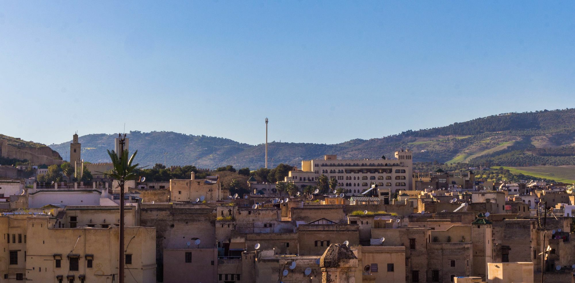 Riad Taha فاس المظهر الخارجي الصورة