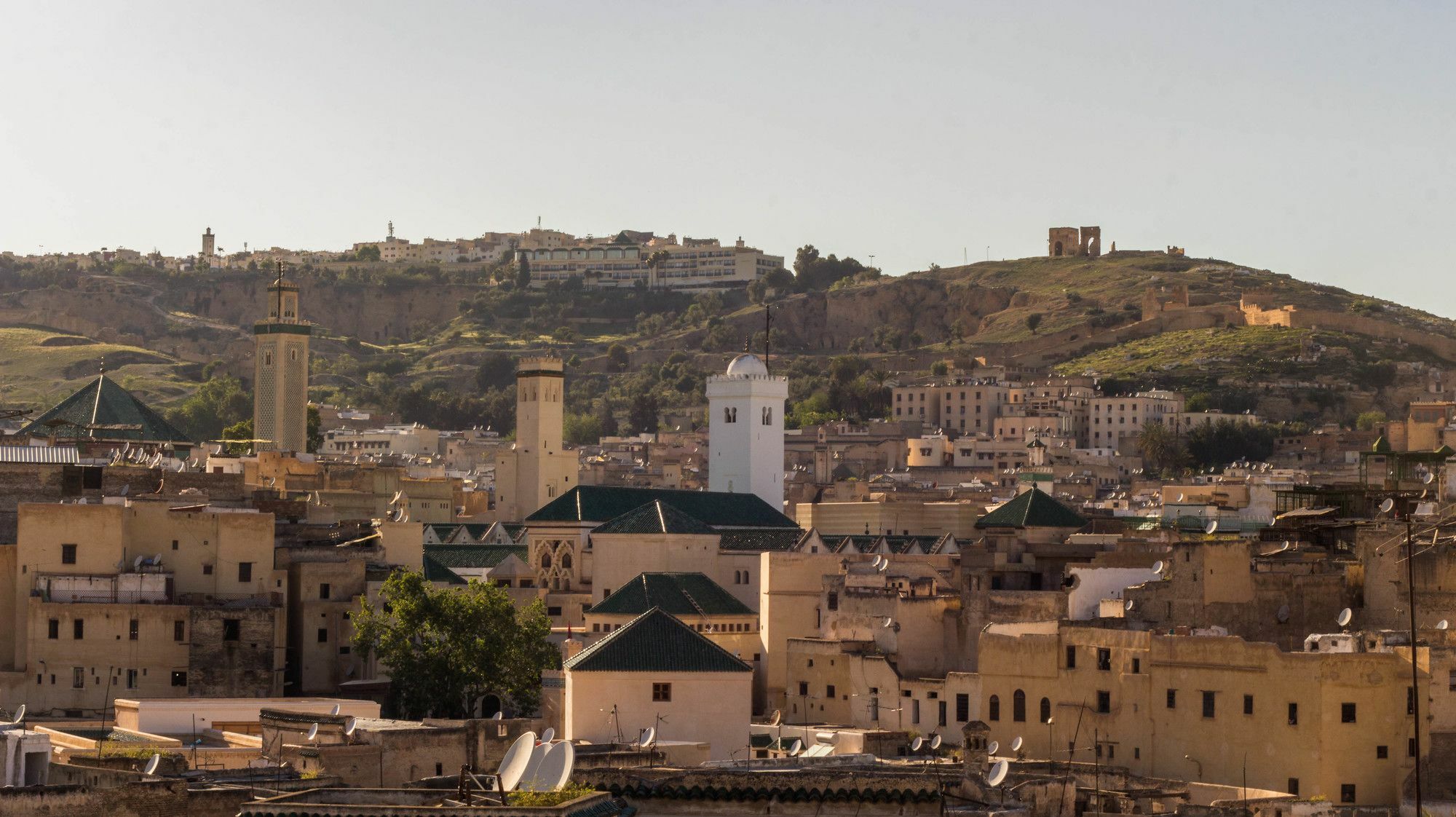 Riad Taha فاس المظهر الخارجي الصورة